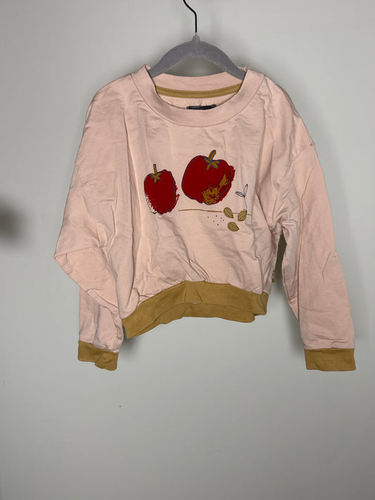 SOURS MINI | CREWNECK 5-6A