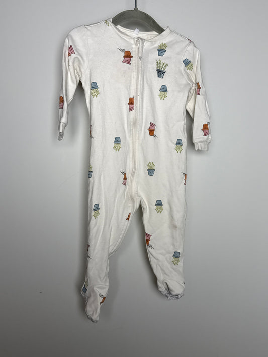 PEKKLE | PLANTE 12M