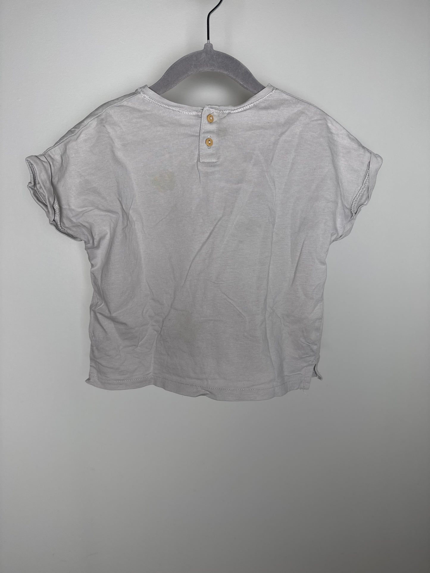 ZARA | TSHIRT 2-3T