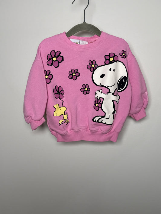 ZARA | CREWNECK 1,5A
